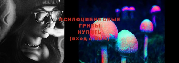 экстази Бородино