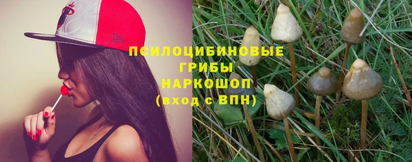 МДПВ Снежногорск