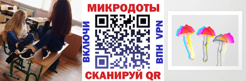 закладки Новоржев Псилоцибиновые грибы Psilocybine cubensis